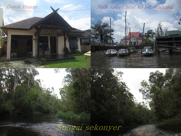 Sungai Sekonyer, Taman Nasional Tanjung Puting Kalimantan Tengah 